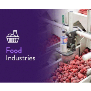 Food Processing Industry Valves